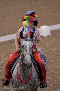 Lusitano Breed Society of Great Britain Show - Hartpury College - 27th June 2009